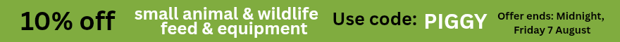 Discount offer banner image